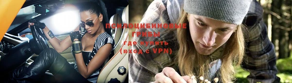 прущий лед Корсаков
