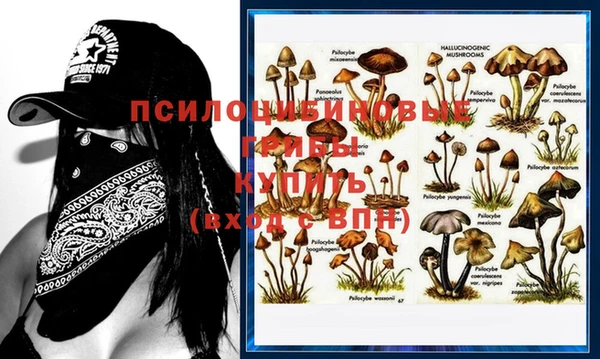 соль курить ск Козельск