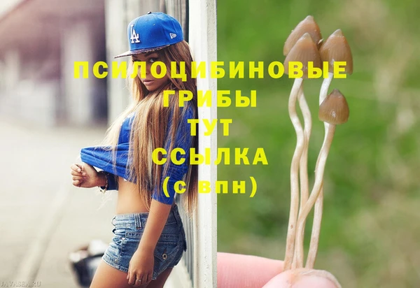 дживик Кодинск