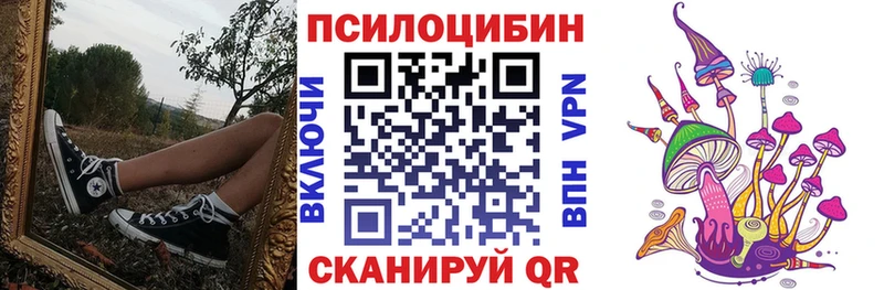 Купить  Белореченск  Псилоцибиновые грибы Psilocybine cubensis 